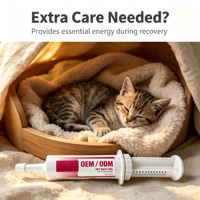 Pâte nutritionnelle pour chats et chatons, complément alimentaire quotidien, OEM, marque privée, naturelle, toutes races.
