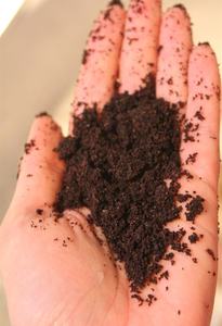 Gommage au café Arabica 100% naturel, <span class=keywords><strong>meilleur</strong></span> gommage exfoliant naturel au citron pour le visage et le corps, <span class=keywords><strong>traitement</strong></span> <span class=keywords><strong>anti</strong></span>-<span class=keywords><strong>cellulite</strong></span> et <span class=keywords><strong>anti</strong></span>-vergetures - Product Image 5