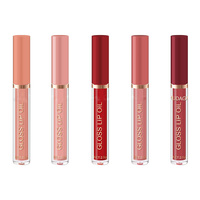 Gloss à lèvres hydratant brillant biologique à étiquette privée, teinte à lèvres, gloss à lèvres longue durée, hydratation, gloss à lèvres liquide repulpant