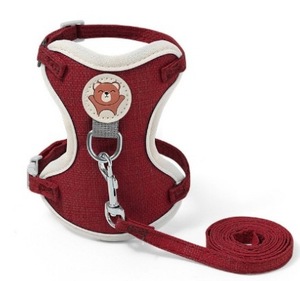 Arnés Ajustable Verde para Perro con Diseño de Oso de Dibujos Animados y Correa a Juego, Cierre de Hebilla Acolchada - Product Image 1