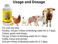 Complément alimentaire liquide multivitaminé pour lapins et coupe-herbe, vitamines et minéraux, liquide oral multivitaminé, nourriture pour lapins, OEM et ODM