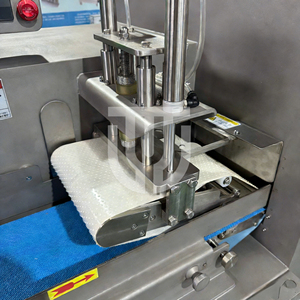 Machine industrielle de découpe en blocs et en dés de viande congelée (bœuf, porc, poulet) entièrement automatique, haute vitesse, 800 kg/h, en acier inoxydable 304, pour la transformation - Product Image 4