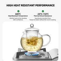 Teko Teh Kaca dengan Infuser Kaca 800ml / 27.33oz, Terbuat dari Kaca Borosilikat Bening untuk Teh Gongfu, Teh Daun, Meja Teh, dan Rumah