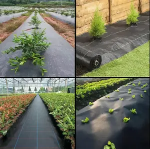 Couvre-sol à double pont Barrière contre les mauvaises herbes pour le jardin Tissu paysager avec perméabilité Conception de blocs contre les mauvaises herbes