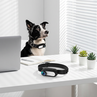 Caméra de collier pour chien d'extérieur 1080P HD CMOS, grand angle 120 degrés, mini caméra d'action sportive rechargeable, étanche IPx6 pour chiens et chats