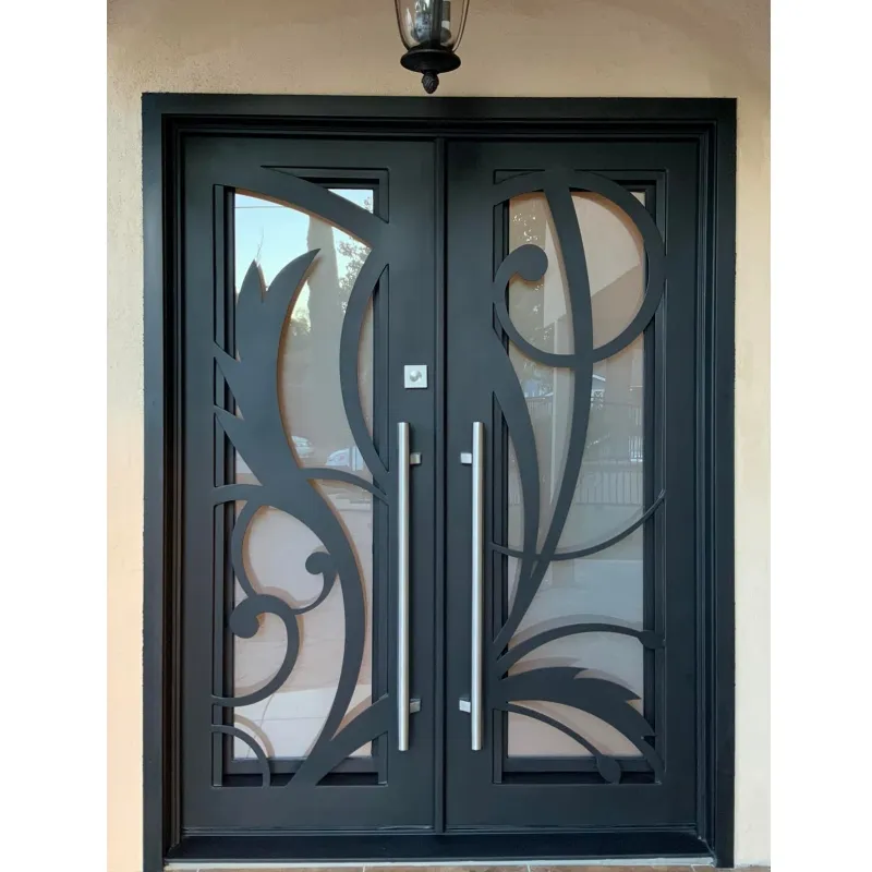 Porta da cucina in ferro all'ingrosso di fabbrica Design doppia porta in ferro progetta porta in ferro battuto Pre-appesa