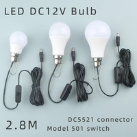 Ampoule LED 12V pour usage extérieur avec câble de 2,8 m, prise DC5521, interrupteur marche/arrêt, crochet métallique pour un accrochage facile