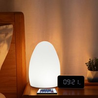 Dekorative Bar Led Tisch Lampe Ei Form schnur lose LED Schreibtisch lampe USB-Fernbedienung Aufladen kreative Schlafzimmer LED Nachtlicht