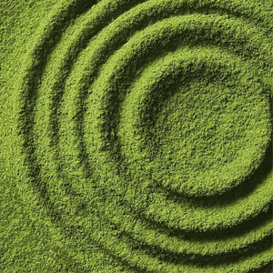 Té Verde Matcha en Polvo de Alta Calidad OEM/ODM, 100% Puro Premium, Certificado ISO 22000, Bolsa de 1000 Mallas - Product Image 3