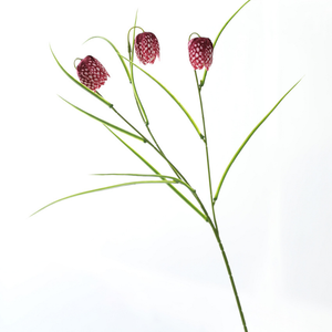 Fleur artificielle américaine fraîche, blanche et verte, style Grange <span class=keywords><strong>Barnum</strong></span>, style coréen, à 3 branches, de forme spéciale, décorative et assortie - Product Image 2