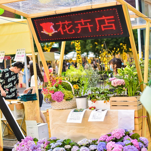 Écran publicitaire LED flexible contrôlé par application, kiosque mobile, panneau d'affichage de voiture, magasin de détail, centre commercial, aéroport, salle d'exposition - Product Image 3