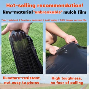 فيلم تغطية زراعي من البولي إيثيلين منخفض الكثافة (LDPE) بلون أسود، مصنوع بتقنية النفخ، ذو عمر خدمة طويل لزراعة الحدائق والزهور. - Product Image 4