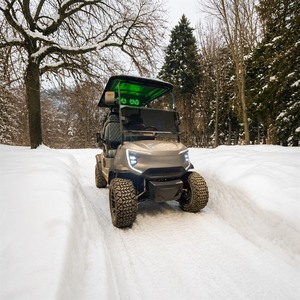 Chariot <span class=keywords><strong>de</strong></span> golf électrique pour marché <span class=keywords><strong>de</strong></span> gros, 2, 4 ou 6 places, moteur AC 72V 7.5KW, batterie au lithium, pour manutention <span class=keywords><strong>de</strong></span> caisses et palettes en entrepôt - Product Image 3