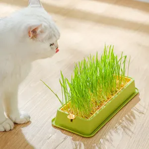 Cat Grass Growing Kit Cat Grass Planter Cat Grass