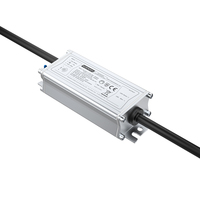 Fuente de alimentación LED a prueba de agua IP67 de fábrica 58V-60W 300W 200W 150W 120W 100W 80W 50W Controlador LED para iluminación industrial al aire libre