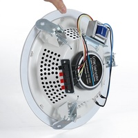 Prix d'usine PA entoure les haut-parleurs professionnels 110V Hi-Fi 8 pouces haut-parleurs de plafond