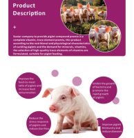 Prémélange pour la croissance rapide et la prise de poids des porcelets, additif alimentaire pour porcs, approvisionnement direct du fabricant