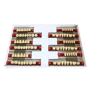Dientes de resina acrílica para dentadura, dientes de resina artificiales - Product Image 1