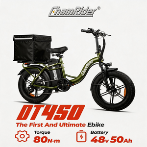 Bicicleta Eléctrica Chamrider Stock 48v50ah, Bicicleta de Reparto, Bici Eléctrica de Largo Alcance, Fatbike Urbana Dt450 de Alta Velocidad con Motor sin Escobillas - Product Image 1