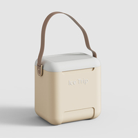Bière Canette Boire Glacière En Plastique Mini 10L Carry Food Cooler Box igloo cooler