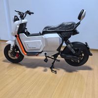 Moto électrique EEC 2000W avec moteur à moyeu sans balais, batterie au lithium, vélo de ville longue portée, frein à disque, affichage numérique, 3 vitesses