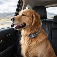 Traceur GPS pour animaux de compagnie G16, étanche, localisation en temps réel, historique des itinéraires, géolocalisation, prise en charge OEM ODM, longue durée de vie de la batterie