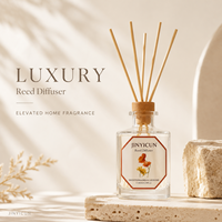 Diffuseur de parfum en verre de 180 ml avec bâtonnets en rotin naturel, étiquette privée OEM, coffret cadeau de parfum d'intérieur personnalisé pour la vente en gros