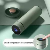 Botol air termos Stainless Steel, botol air lucu penjaga panas tahan lama, botol termos baja anti karat 304, Mug termal tampilan suhu cerdas