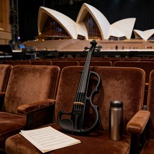 Violino Elettrico a 5 Corde 4/4 in Offerta - Vendita Diretta dalla Fabbrica per Scuole di Musica e Band - Product Image 2