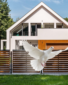 Pointes de dissuasion d'oiseaux en plastique de 45cm-Les pointes de dissuasion d'oiseaux gardent le pigeon, l'écureuil, le raton laveur, les chats, le corbeau loin, anti - Product Image 6