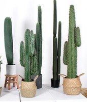 Plante tropicale Aménagement paysager PU Pole Cactus Colonne Rempotage Grande Simulation Cactus Plantes du désert
