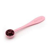 Peinture en spray rose bambou, logo personnalisé, cuillères doseuses pour outils à matcha et ensemble fouet à matcha Chasen