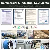Downlight économique Blanc Mince 3 Couleur Lumière Meilleure Qualité Commercial Led Downlight