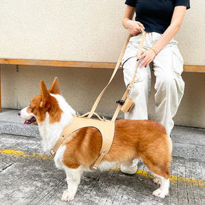 Arnés de perro OEM personalizado al por mayor fabricantes de arnés de perro resistente de diseño de lujo PU de cuero y Correa y collar conjunto - Product Image 6