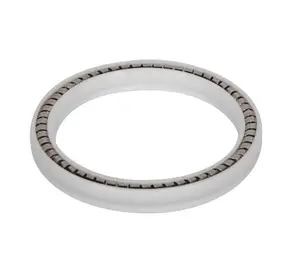 High quality standard V-spring/V-seal/V-ring disc plug seal V-round spring seal