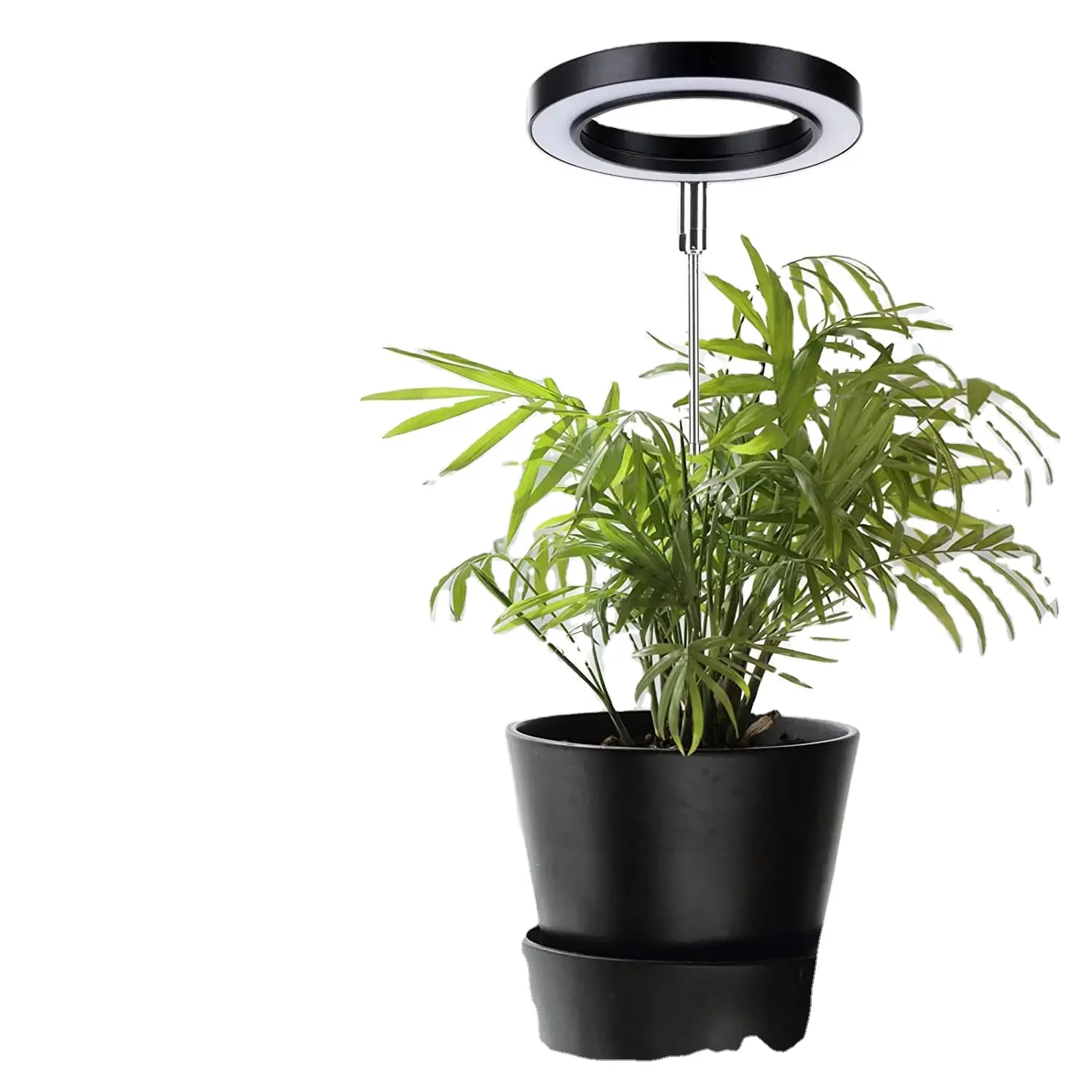Luz de crecimiento de plantas de anillo redondo USB de 6 vatios para plantas de interior con lámpara de cultivo de plantas LED regulable