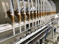 Machine de remplissage automatique d'acide de blanchiment liquide corrosif de pesticide chimique de bouteille d'engrais de batterie