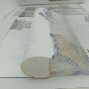 <span class=keywords><strong>Livre</strong></span> d'échantillons professionnel pour les traitements complets des fenêtres, y compris les rideaux, les stores et les stores enrouleurs - Product Image 6