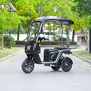 <span class=keywords><strong>Tricycle</strong></span> électrique 2 places avec auvent et porte-bagages, scooter à 3 roues pour personnes âgées, charge utile de 200-300 kg, autonomie de 50-70 km - Product Image 2