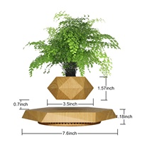Pot à Bonsaï Magnétique Flottant Effet Bois, Pot de Fleurs en Plastique, Cadeau Personnalisé pour Décoration de Bureau et Maison