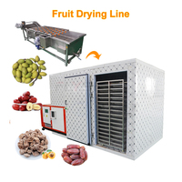 Commerciële dehydratatiemachine voor fruit en groenten, dadelpreparatie- en drooglijn, abrikozen droogmachine