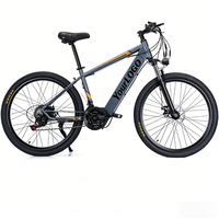 Vélo de montagne électrique Urban Traveler, batterie au lithium, vélo électrique tout-terrain à vitesse variable pour les trajets quotidiens