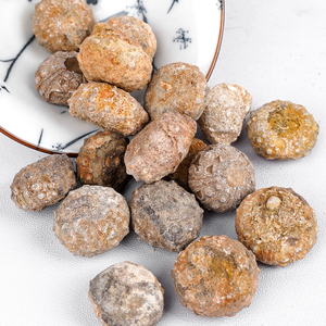 Nhím biển cidaroid Đích Thực-trang trí nhà độc đáo hoặc đạo cụ chụp ảnh - Product Image 5