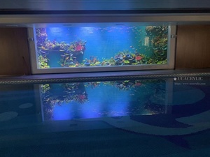 Bể cá bể cá lớn Bể Cá Lớn Bể Cá Lớn bể cá 300 Gallon bể cá lớn - Product Image 5