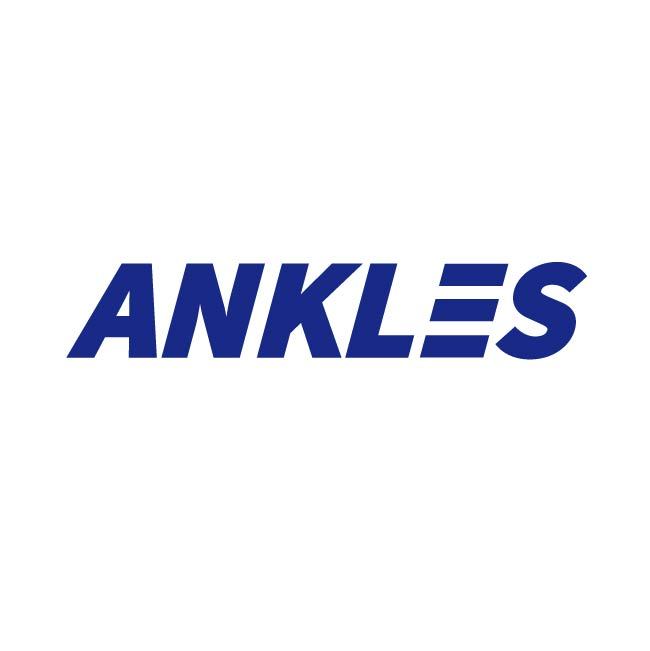 Ankles (dongguan) Energy Technology Co., Ltd. logo