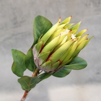 Supplier Bunga Artificial Proteal Afrika Grosir Bunga Rustic untuk Pernikahan