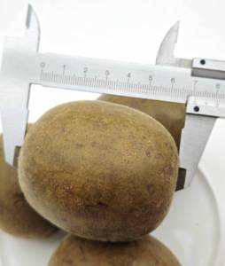 Luo Han Guo Siraitia Grosvenorii Momordica Grosvenori Herbes traditionnelles chinoises séchées entières Thé de qualité supérieure - Product Image 2