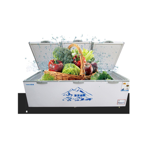 Congeladores Horizontales de Gran Capacidad para Supermercados y Uso Doméstico - Product Image 3