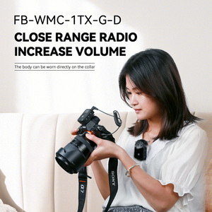 <span class=keywords><strong>FB</strong></span>-WMC-1TX-G-D <span class=keywords><strong>FB</strong></span> portable téléphone portable revers caméra sans fil mini microphone - Product Image 3