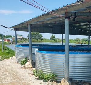 Estanque Redondo <span class=keywords><strong>de</strong></span> Acero Galvanizado por Inmersión en Caliente, Varias Medidas Disponibles para Cultivo <span class=keywords><strong>de</strong></span> Peces y Camarones, con Certificación CE - Product Image 1